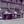 Tiny