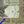 Tiny