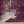 Tiny