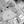 Tiny
