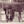 Tiny