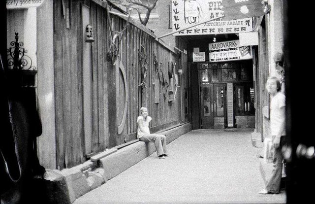 Aardvark Cinematheque In Chicago IL Cinema Treasures