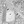 Tiny