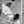 Tiny