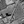 Tiny