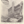 Tiny