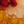 Tiny