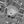 Tiny