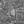 Tiny