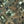 Tiny