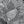 Tiny
