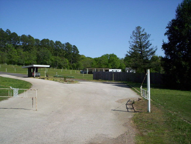 Pine Hill Drive-In