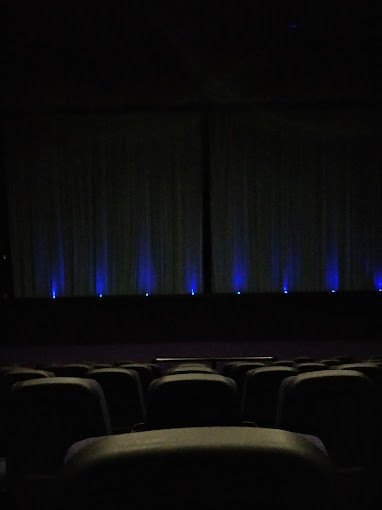 Parkway Cinema Projection Screen