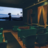 Ark Lodge Cinemas