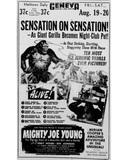 ["Aug 1949"]