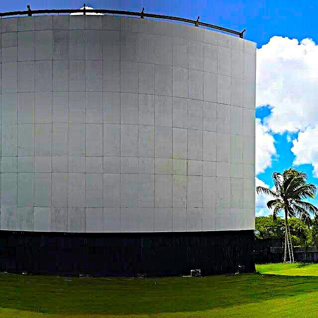 Globe Drive-In Olympus Drive-In, Oistins, Christ Church 1