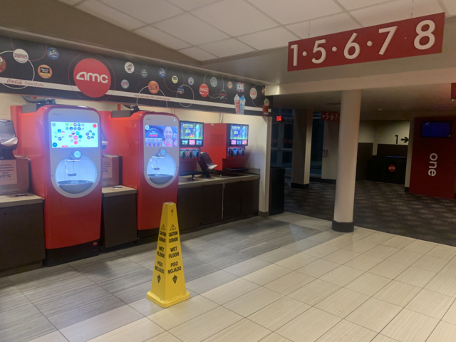 AMC Roosevelt Field 8