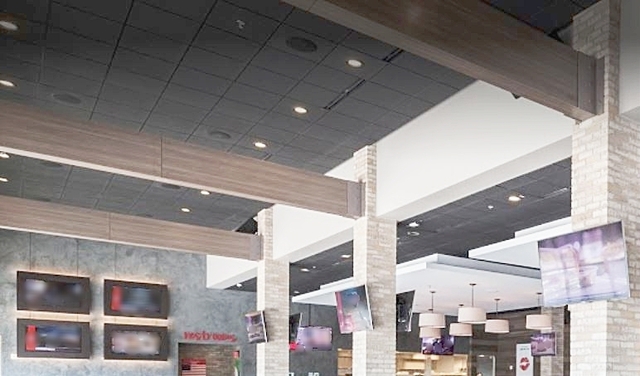 ACX 7 BLUE ASH / ENVISION 