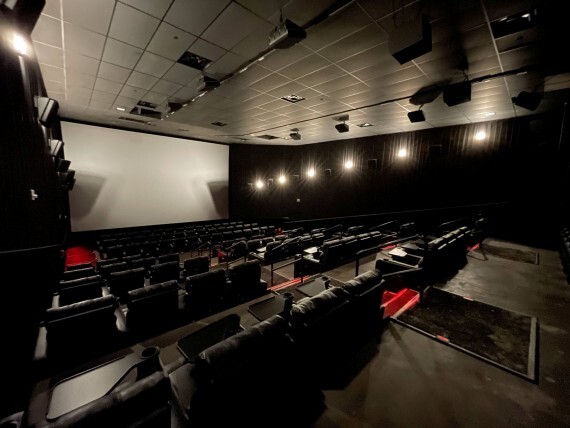 ACX 7 BLUE ASH / ENVISION 