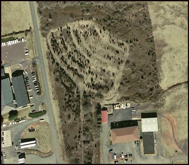 Pitts' Culpeper Drive-In