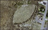 ["Newton Drive-in"]