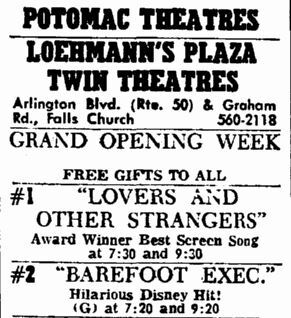 Big Cinemas Loehmann's Twin