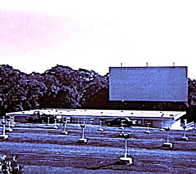 Skyline Drive-In Pride Avenue, Lambton, NSW 