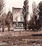 Daleline Drive-In Forrest Road, Armadale, WA - FOR SALE