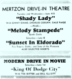 Mertzon Drive-In