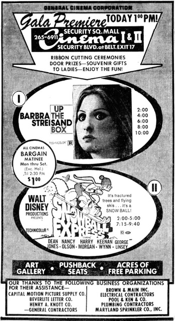 Security Mall Cinema