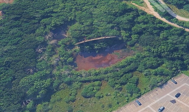 South Shore Plaza Twin Drive-In
