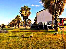 Starline Outdoor Cinema Railway Terrace, Mount Gambier, SA 