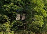 ["West Side Drive-in"]