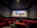 Screen 3 - ScreenX