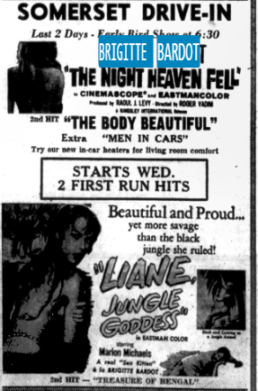 Somerset Family Drive-In