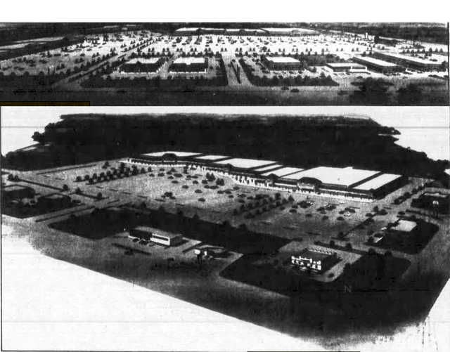 Noland Fashion Cinema