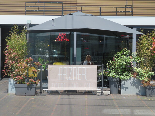Arzner Cinema