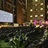 Rooftop Cinema Club - Midtown