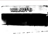 Walnut 6