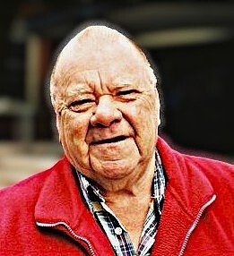 Memorial Hall 233 Nicholson Street, Healesville, VIC - Healesville projectionist receives major awards.