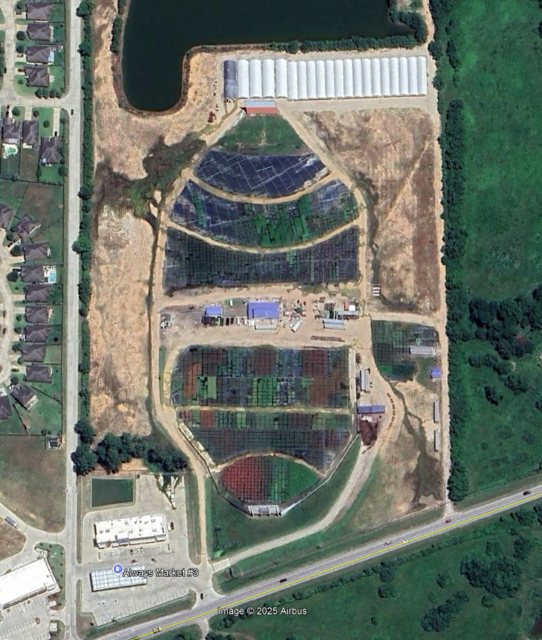 Showboat Drive In Update