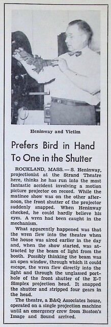 A Bird in the Hand is Worth Two in the Bush (1952)