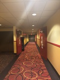 <p>Photo of AMC Deptford 8 hallway leading to theaters, circa 9/22/2025</p>
              