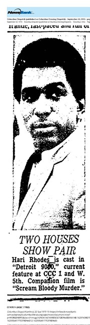 The Blaxploitation Era (1973)