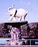 Oasis Drive-In 175 North-West Coastal Highway, Wonthella, WA