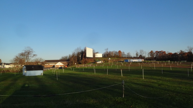 Brownsville Drive-In
