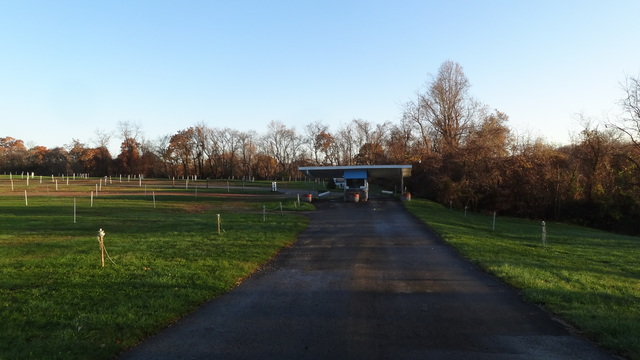 Brownsville Drive-In