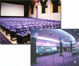 ["AMC Dine-In Rio Cinemas 18"]