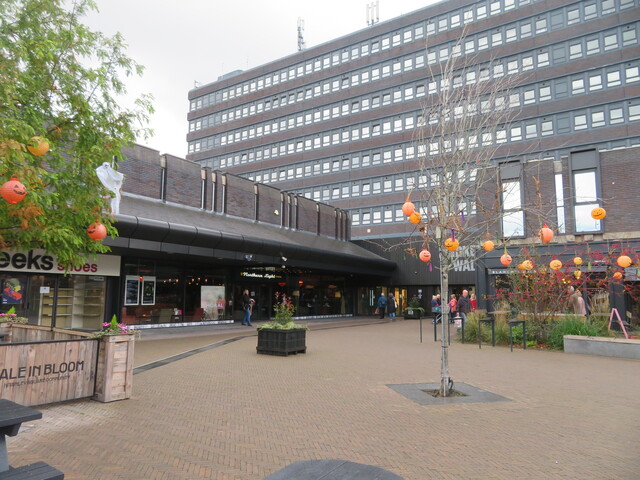 Northern Light Cinema