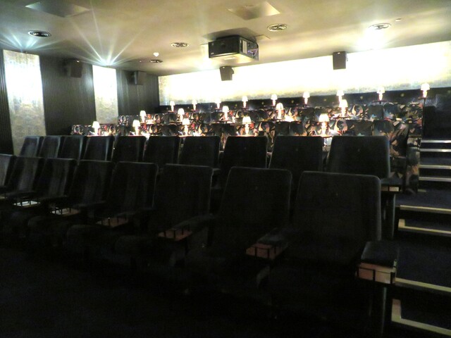 Northern Light Cinema